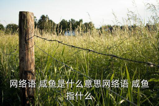 關(guān)于咸魚的廣告語，...